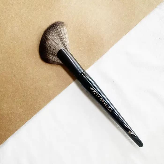SCOTT – brosse à poudre transparente en forme d'éventail, 66 cheveux synthétiques doux, Blush, mélan