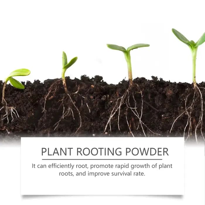 Poudre d'enracinement des plantes - Pour les boutures, la transplantation, tous les arbres et les arbres fruitiers, poudre nutritive pour la croissance des racines à action rapide