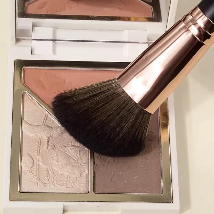 Pinceau de maquillage pour blush