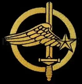 Armée française CPA 10 parachutiste aérien Commando T-Shirt 100% coton à manches courtes col rond décontracté hommes T-Shirt