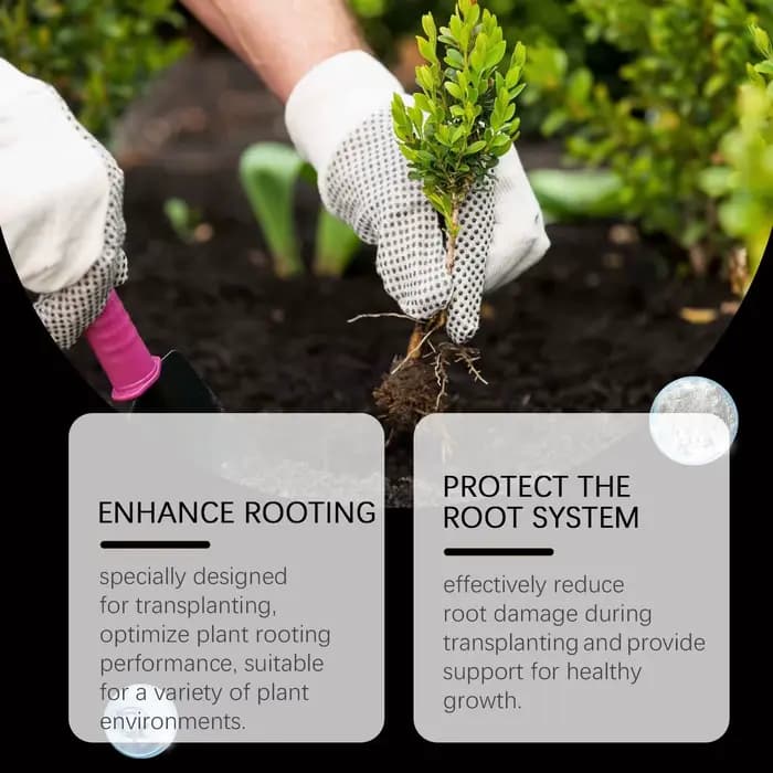 Poudre d'enracinement des plantes - Pour les boutures, la transplantation, tous les arbres et les arbres fruitiers, poudre nutritive pour la croissance des racines à action rapide