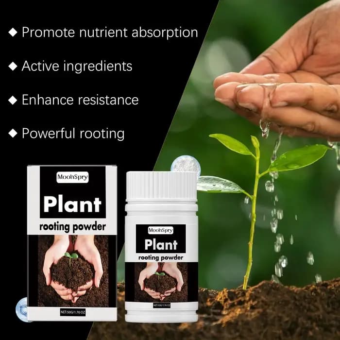 Poudre d'enracinement des plantes - Pour les boutures, la transplantation, tous les arbres et les arbres fruitiers, poudre nutritive pour la croissance des racines à action rapide