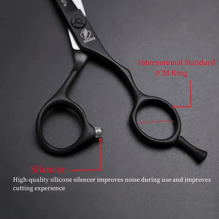 HISADA ciseaux de coiffeur 5.5 pouces ciseaux de coiffure professionnels japonais à la main VG10 mat