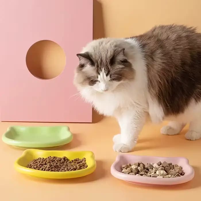 4 plats pour animaux de compagnie peu profonds de qualité supérieure en 4 couleurs | Idéal pour les chats nains et les petites races | Mantée les pattes propres, parfaites pour les aliments humide