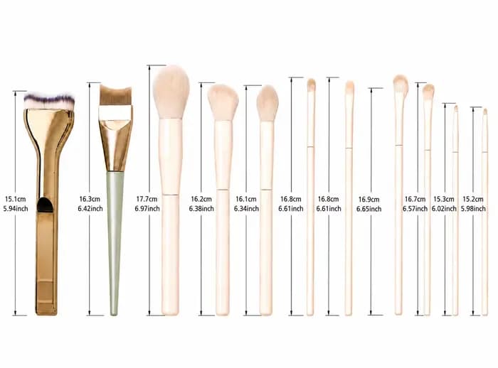 Ensemble professionnel de 12 pinceaux de maquillage avec pinceau pour le fond de teint