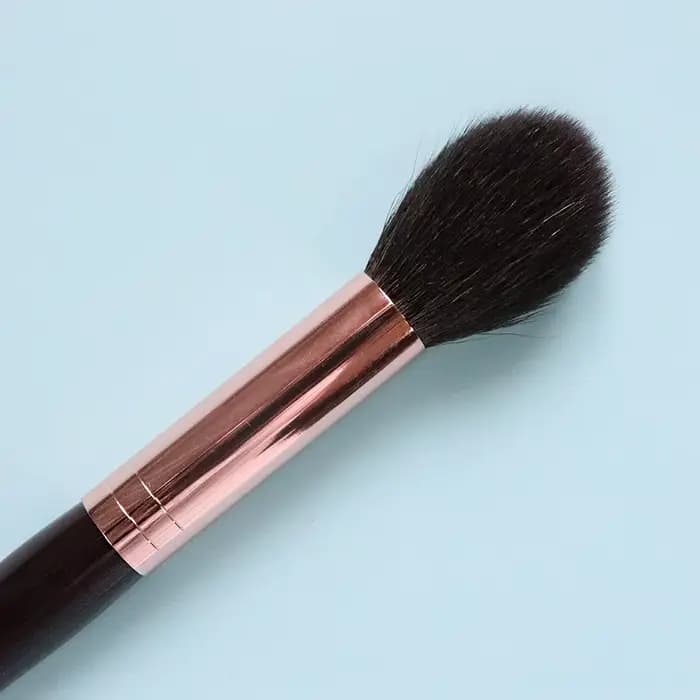 CT – brosse de maquillage en poils d'écureuil et de chèvre