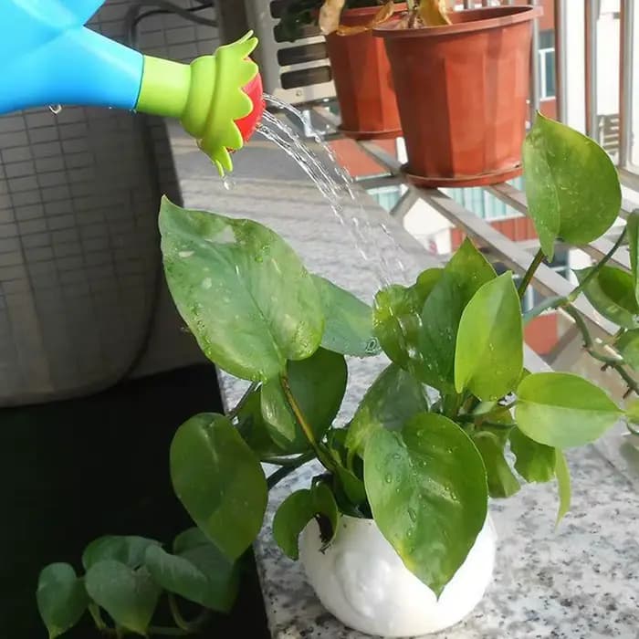Arrosoir de jardin pour enfants, arrosoir, outils de culture succulentes, jeu de plage, attraper la mer, cadeau, entonnoir d'arrosage