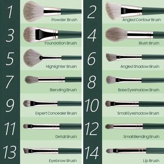 14 pinceaux de maquillage professionnels qui peuvent créer une variété de looks