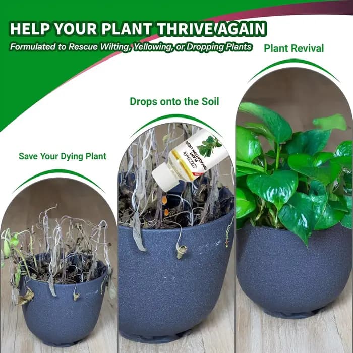 Hormone liquide d'enracinement rapide pour la propagation des plantes, solution pour favoriser la croissance des racines, engrais de récupération pour les plantes d'intérieur en détresse
