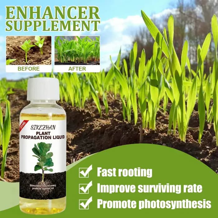 Hormone liquide d'enracinement rapide pour la propagation des plantes, solution pour favoriser la croissance des racines, engrais de récupération pour les plantes d'intérieur en détresse