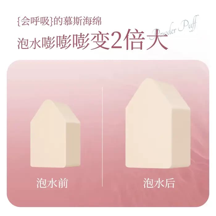Lishu Mousse gâteau 6 pièces éponge fond de teint bouffée de maquillage cosmétique poudre