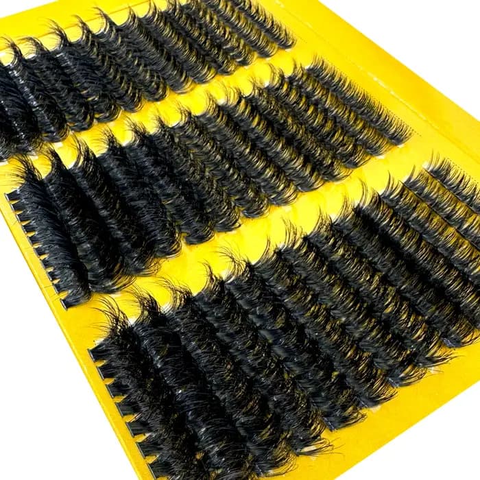 Cils individuels en éventail 5D