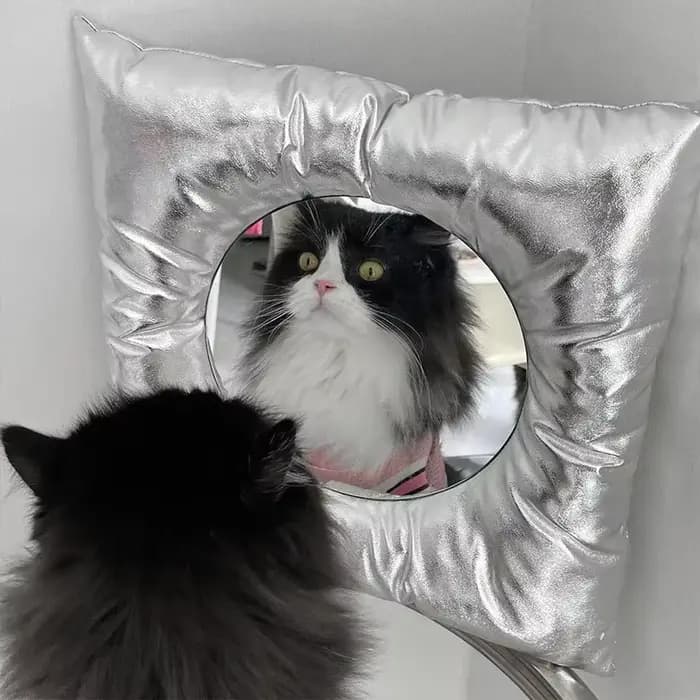 Nouveau Style INS oreiller miroir créatif carré mural salle de bain