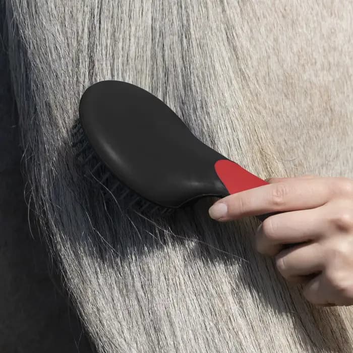Brosse à queue de cheval