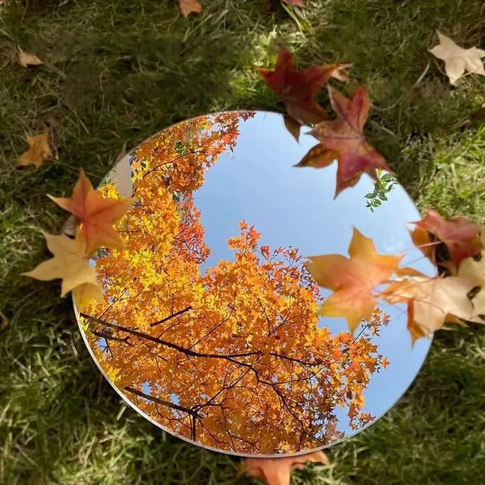 Miroir convexe rond, accessoires photo pour selfie